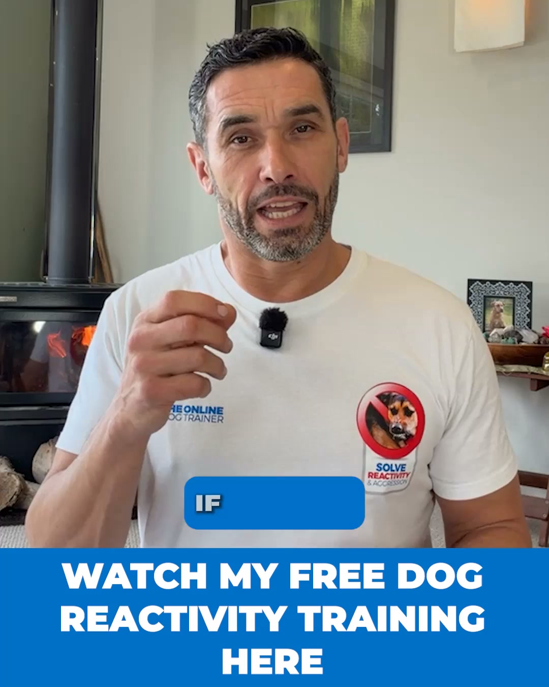 SOLVE Dog Reactivity In 5 Minutes!
