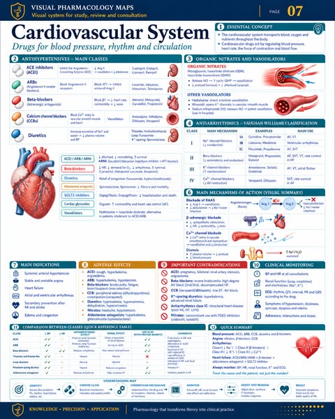 Click below and discover the 120 Visual Pharmacology Maps.