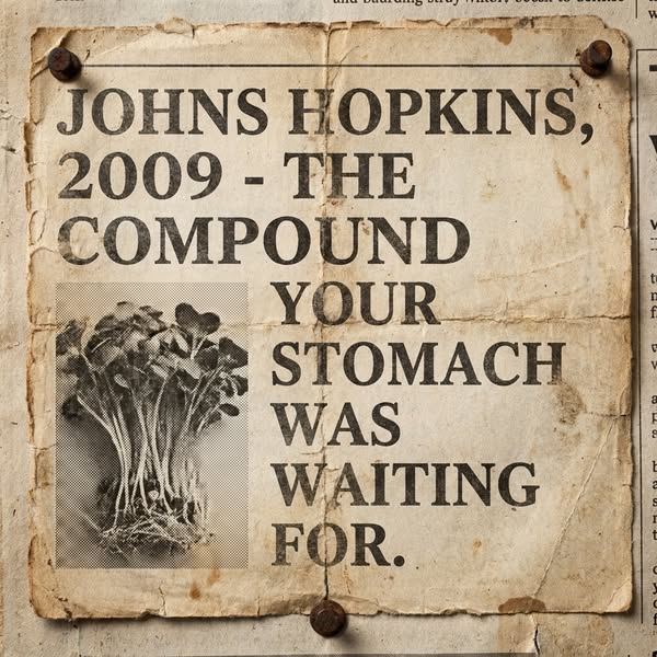 The compound your stomach was waiting for