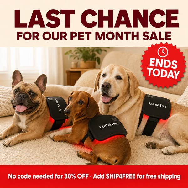 Your Dog's Relief, 30% Off Today