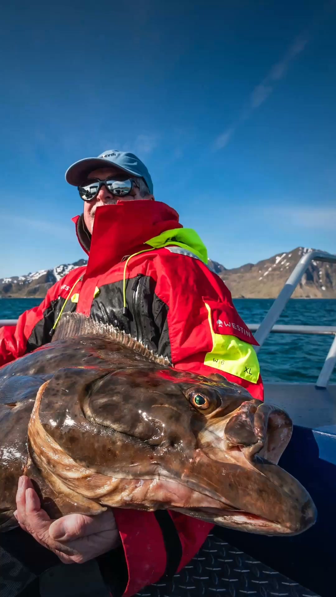 Ny resa: hälleflundra i Lofoten