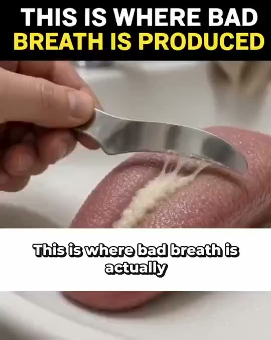 Fresher Breath That Outlasts a Mint — 50% Off Today