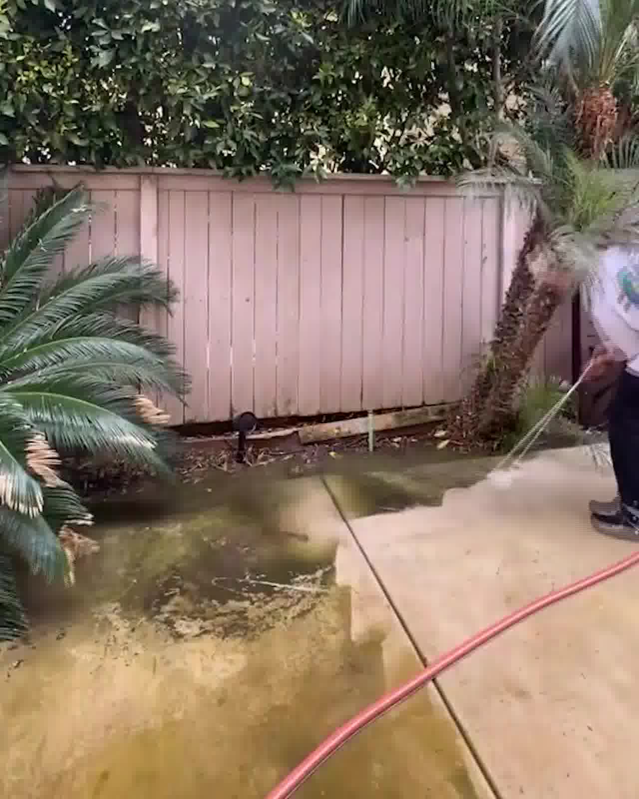 Getto d'acqua ad alta pressione per l'estate