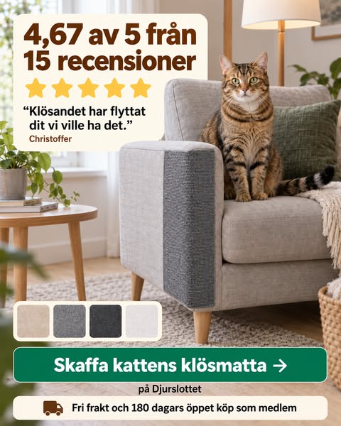 Klösmatta för kattens favorithörn