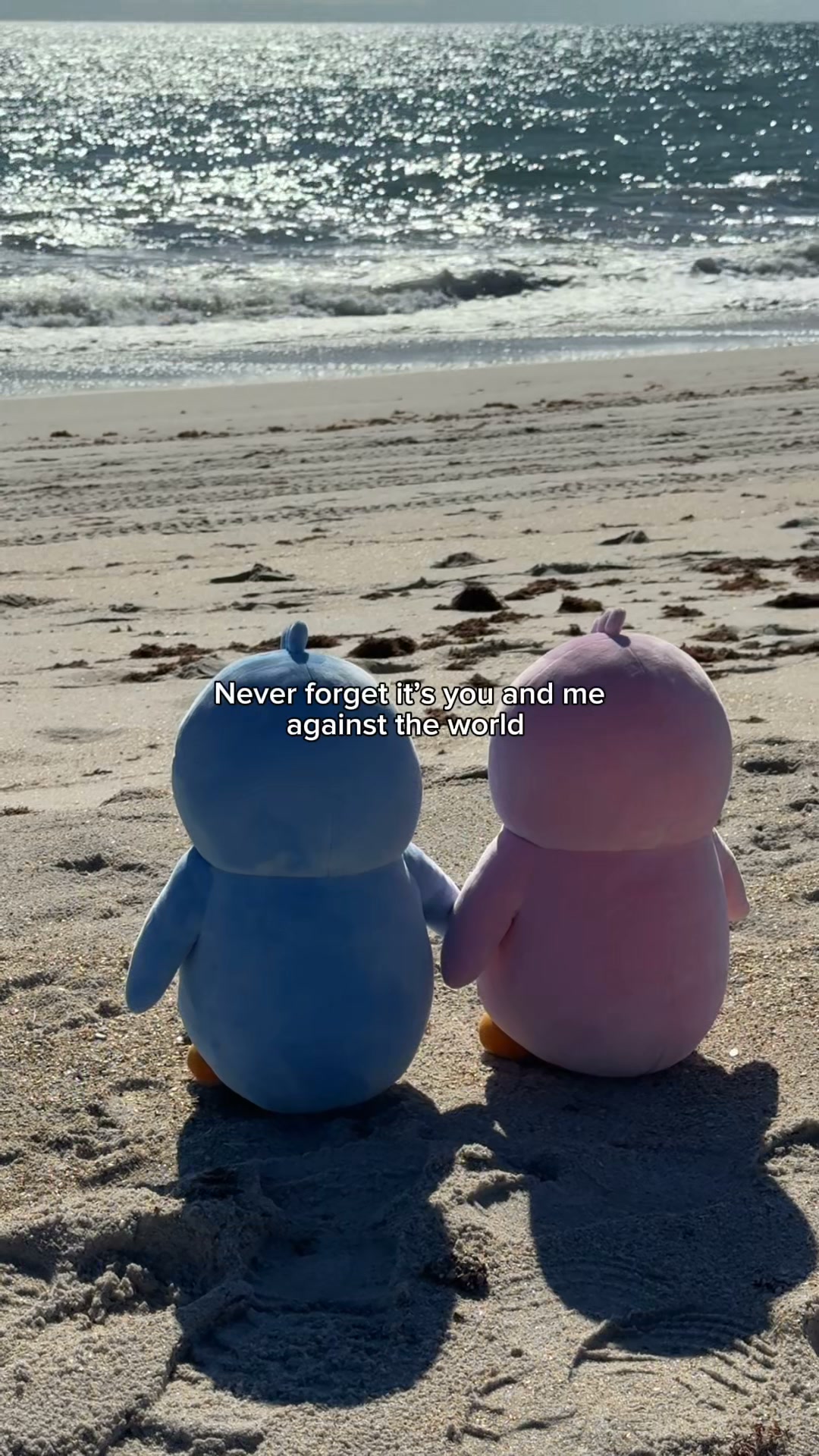 The Couple’s Plush Set