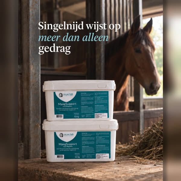 Ondersteun van binnenuit