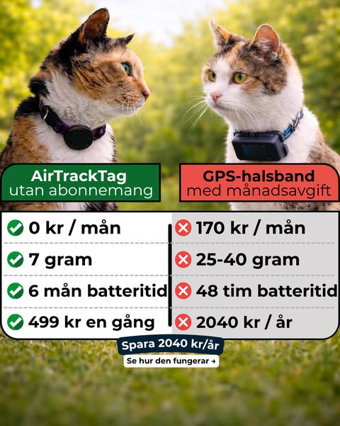 Spåra din katt – utan abonnemang