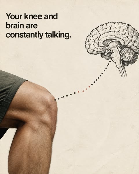 The Knee-Brain Connection Most People Never Hear About