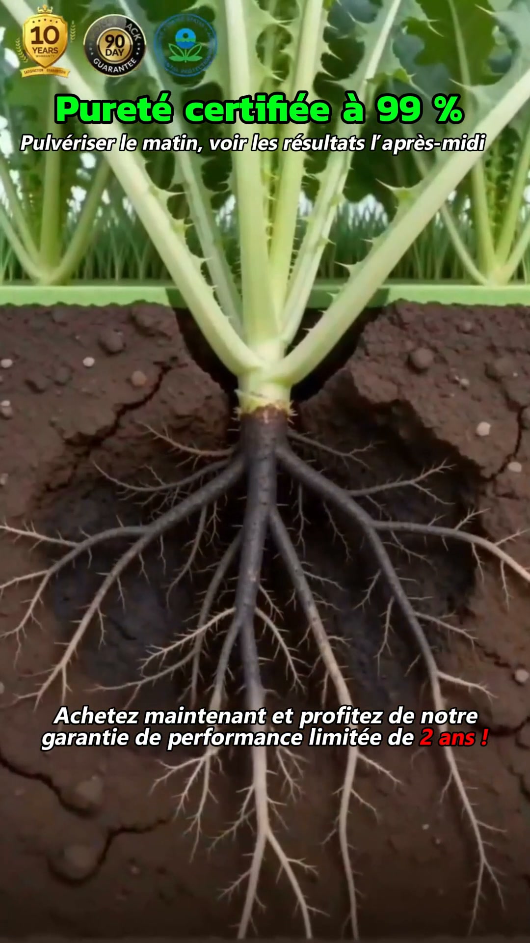 Un pschitt dissout les racines, zéro repousse !