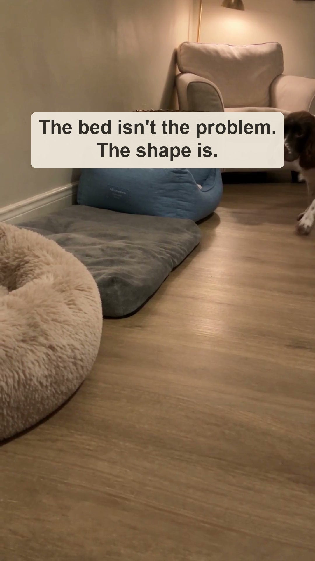 The Calm Bed, £27.99 to £38.99