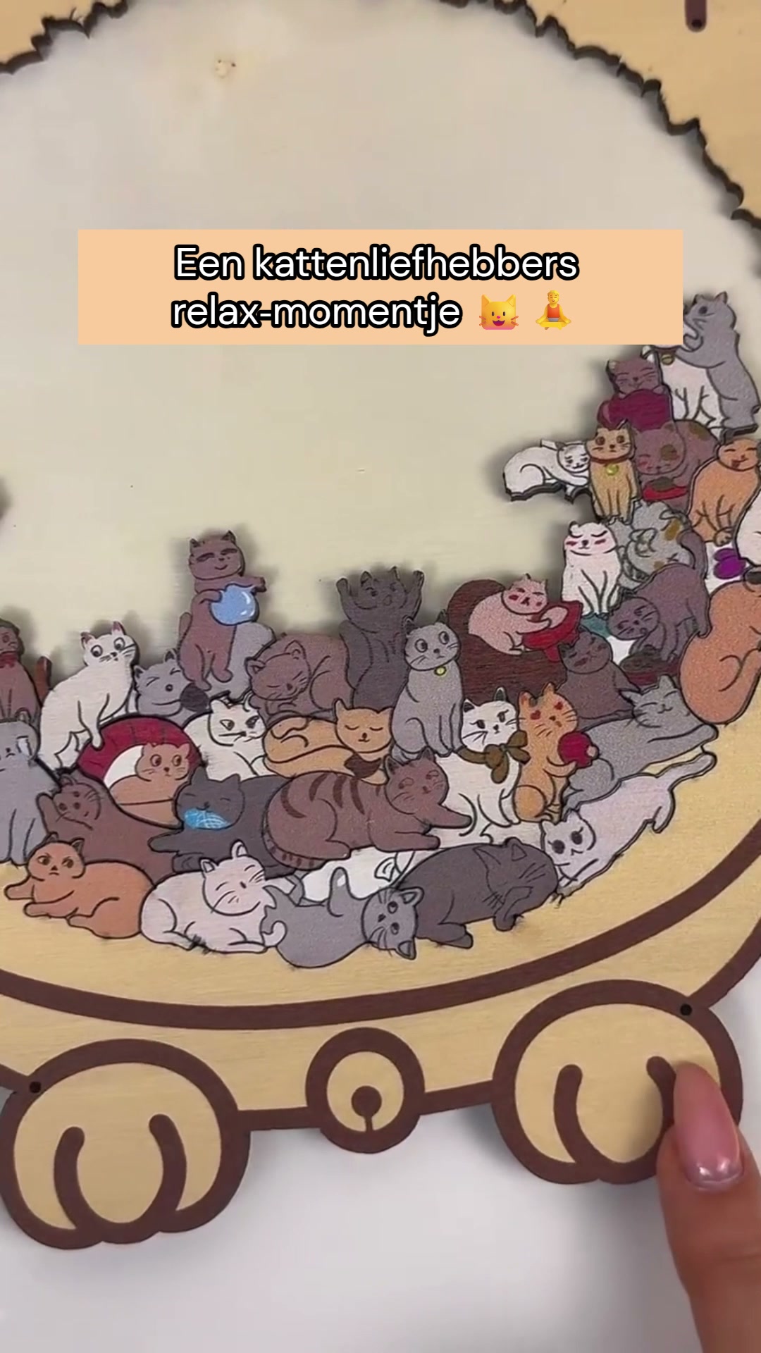 Een puzzel vol katten
