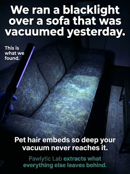 Your sofa looked clean. The blacklight disagreed.