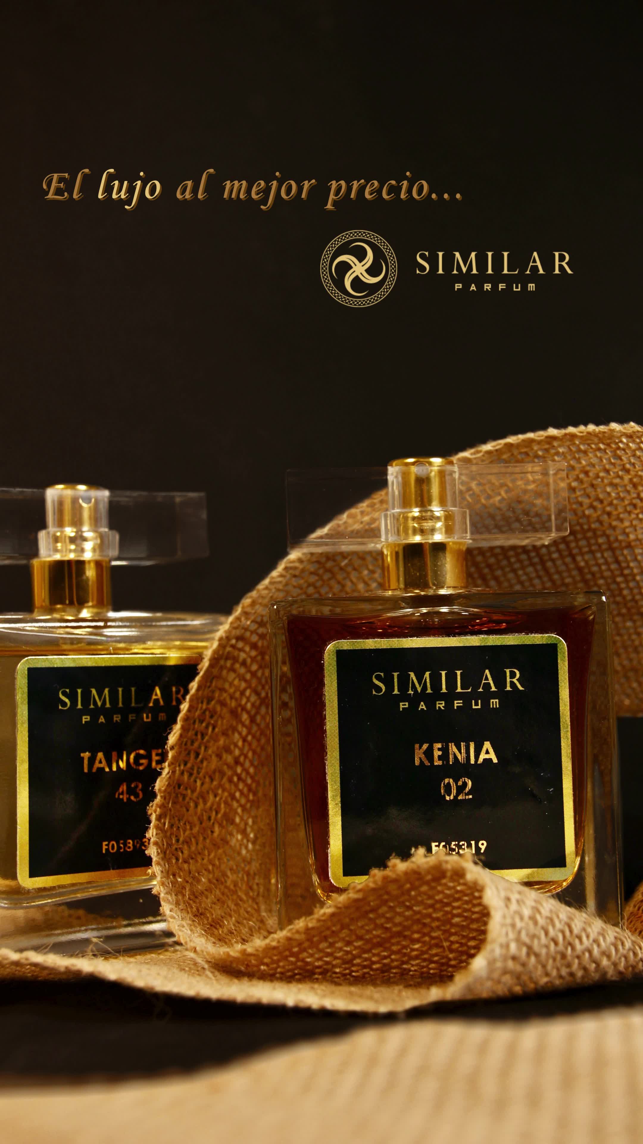 Huele al éxito con Similar Parfum.
