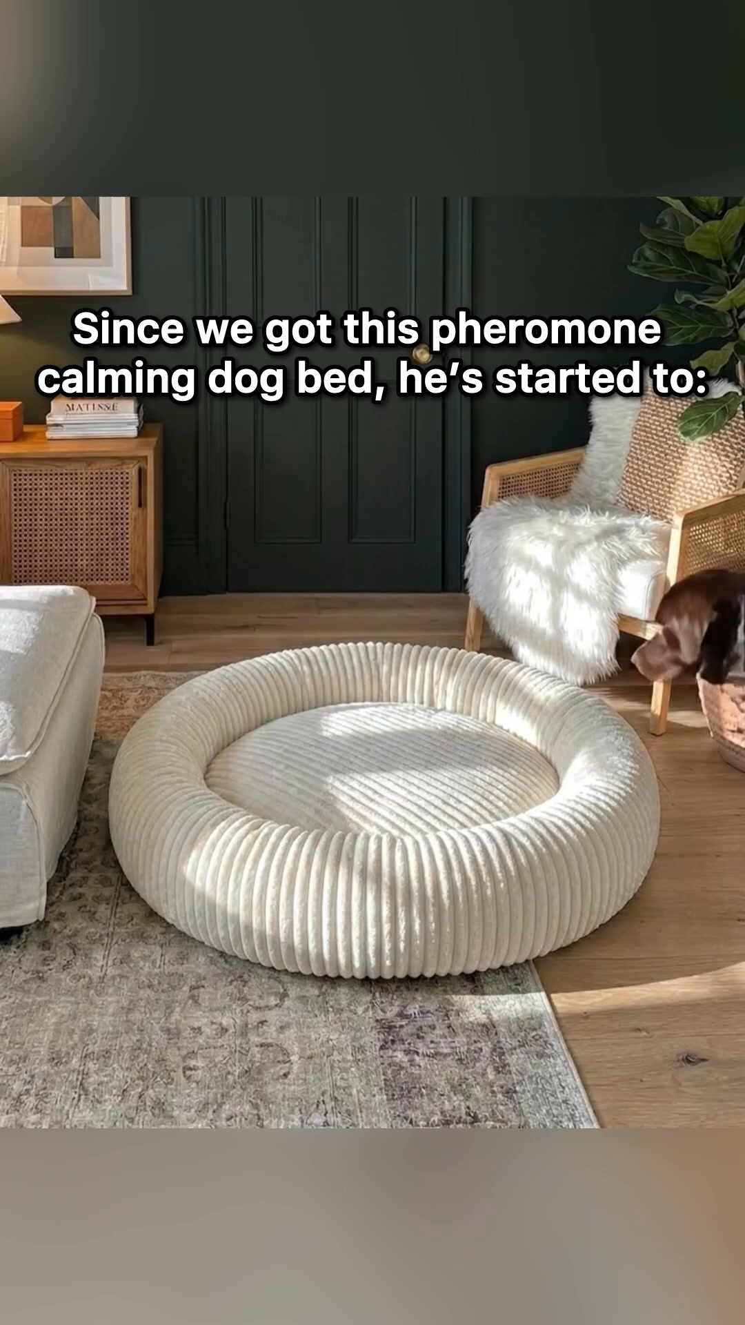 Limited-Time (60% OFF)