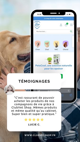+ de 8000 références