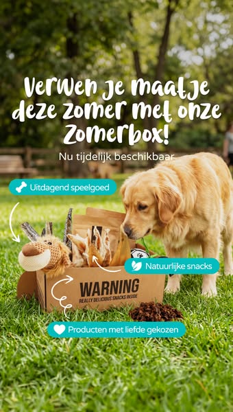 Nu beschikbaar: Themabox Zomer