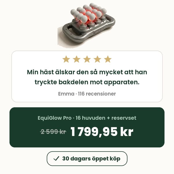 Hästarna älskar EquiGlow, se varför