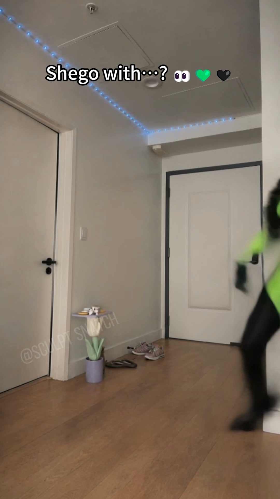 Win Halloween Cosplay this year: Stealthy Black Catwoman or Lethal Neon Green Shego.