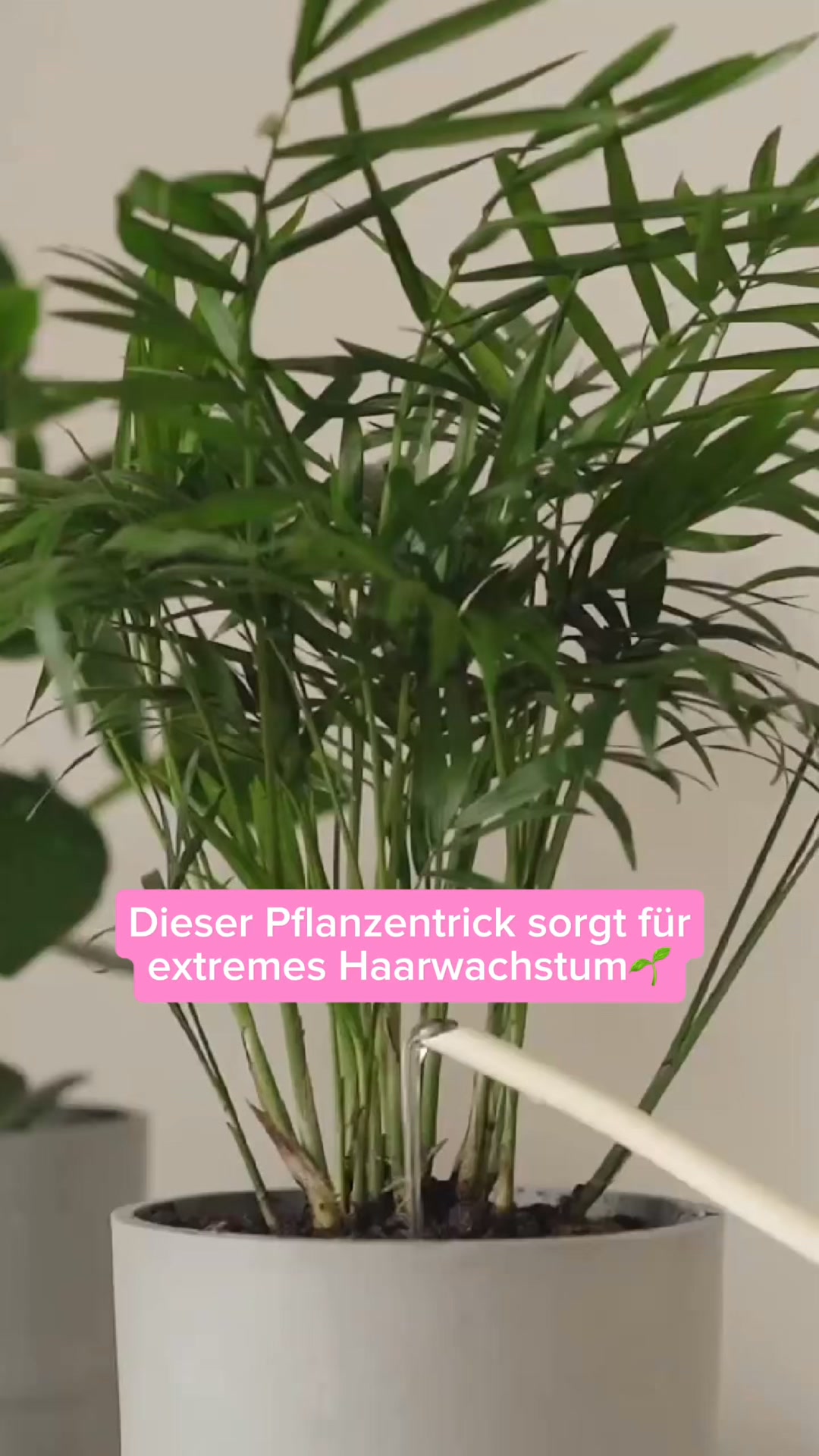187.000+ glückliche Kunden