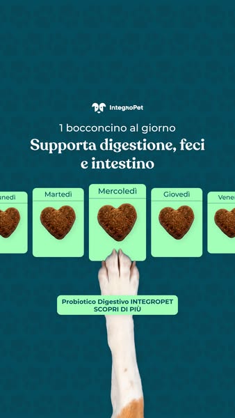 Aiuta il tuo cane oggi