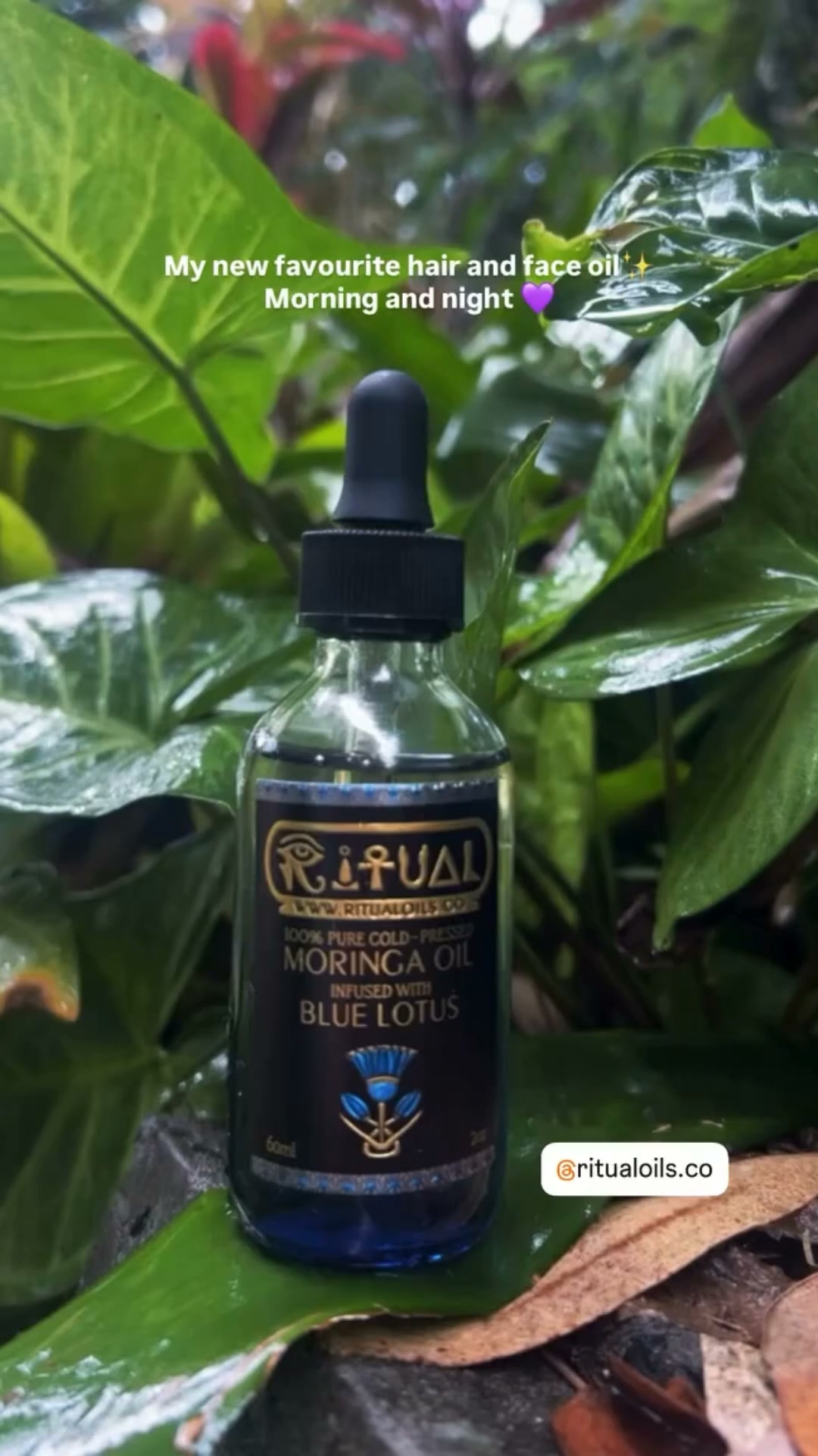 frizz & scalp treatment AND non greasy face oil in one