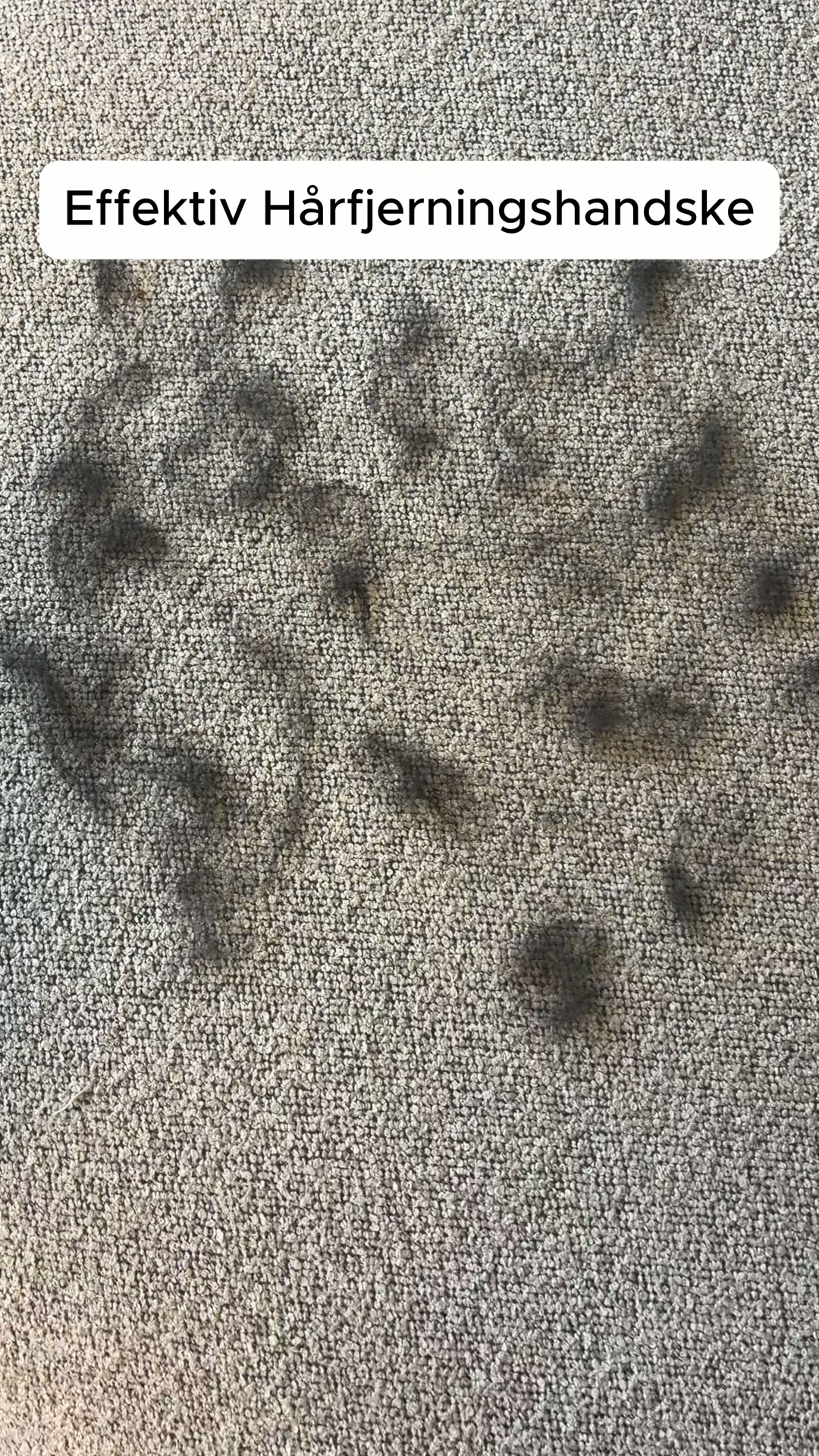 Sig farvel til hundehår på sofaen!