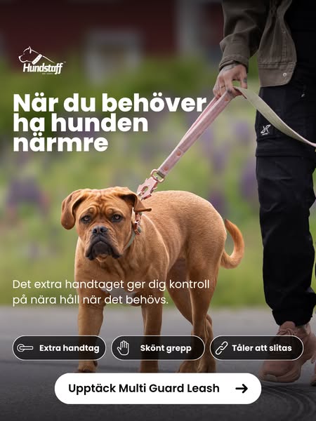 Valt av över 100 000 hundägare