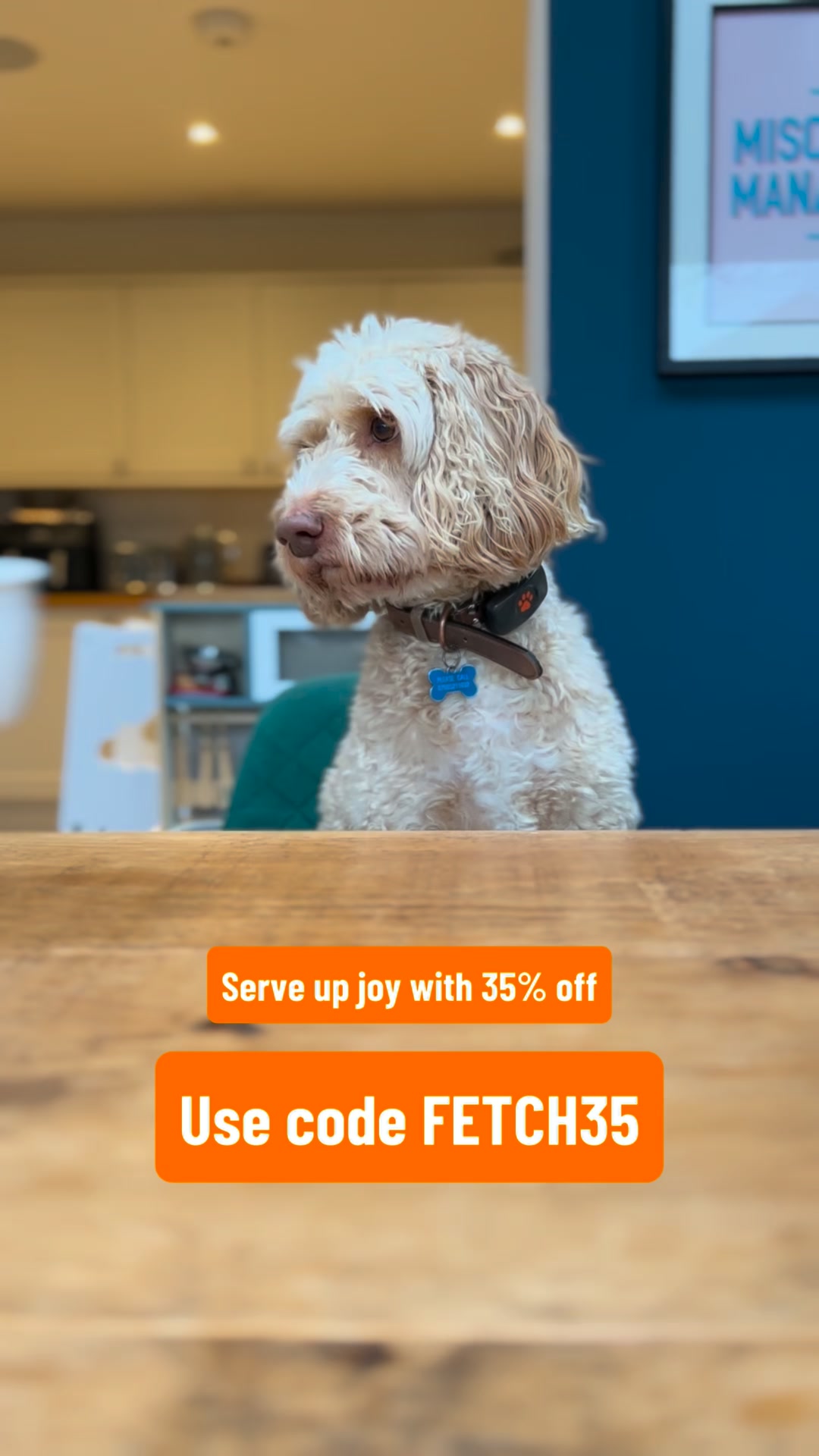 35% Off Everything