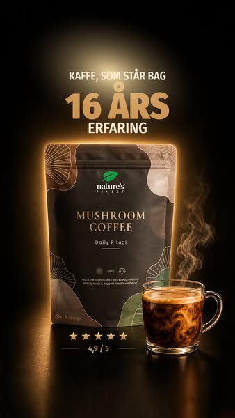 Mød Mushroom Coffee