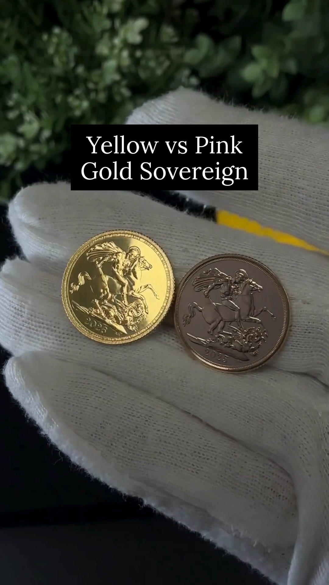 2026 Sovereign Release: Yellow Gold Returns