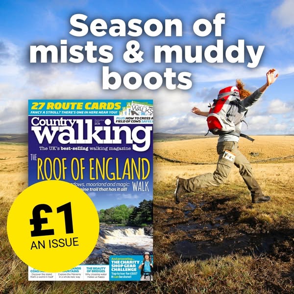 Just £1 an issue