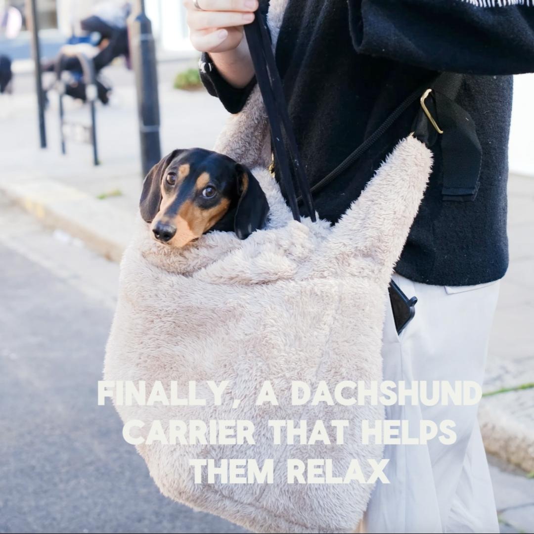 Finally, A Dachshund Carrier That Helps Them Relax