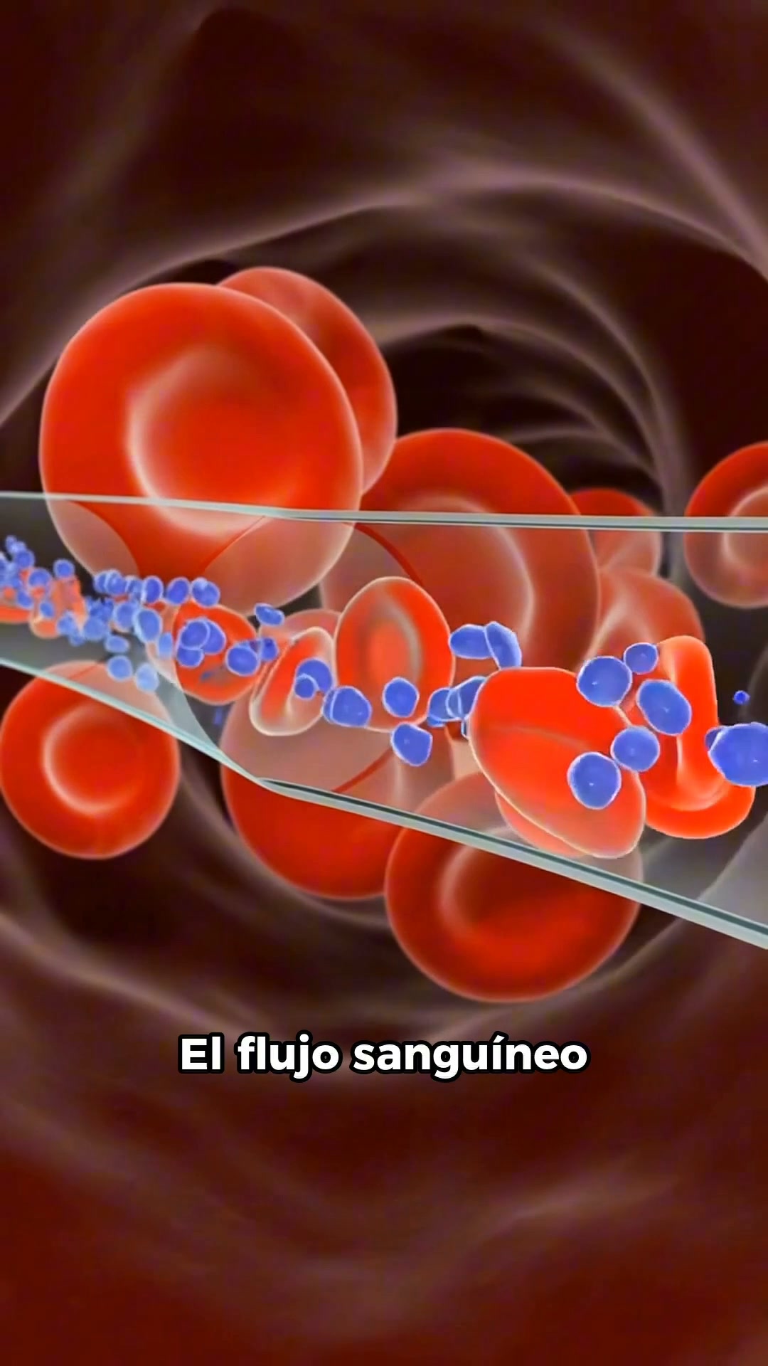 Alivio natural y cómodo – Envío Gratis