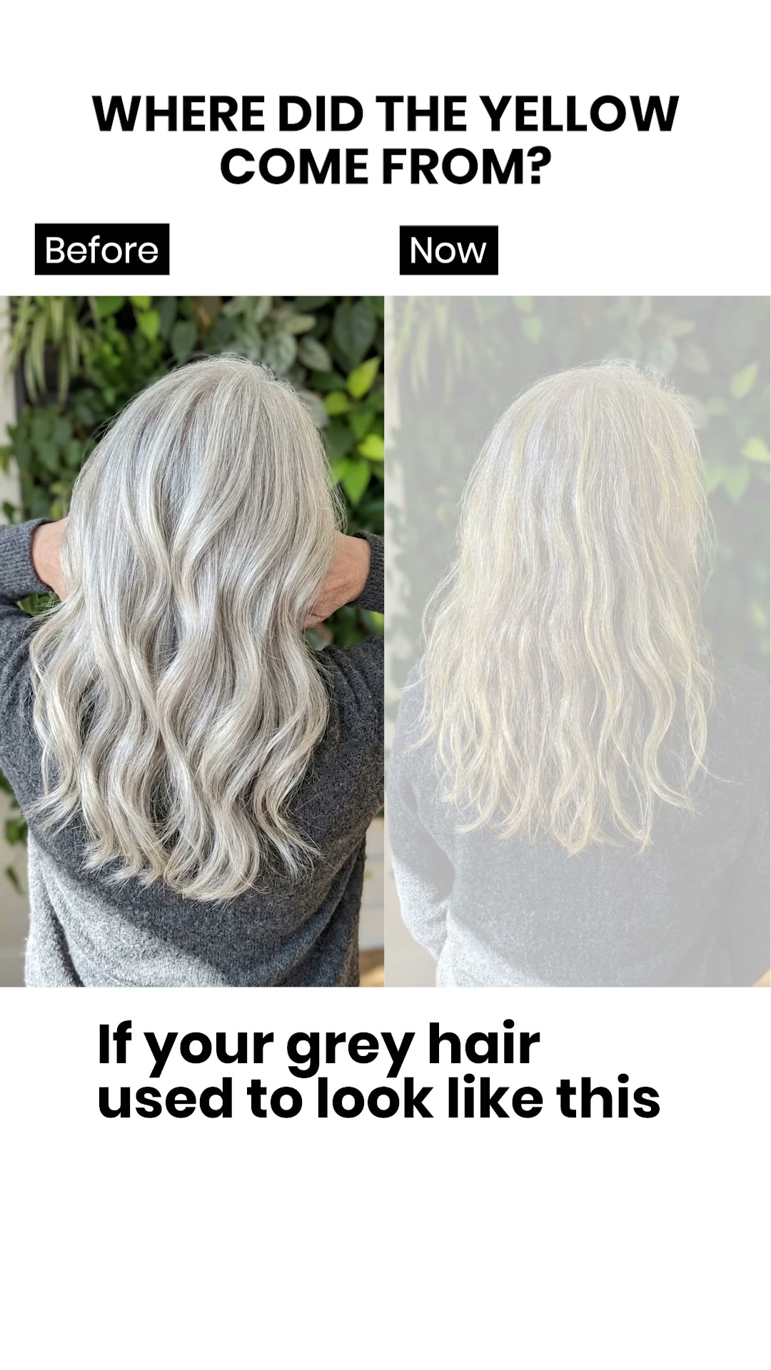 Love Your Silver Again