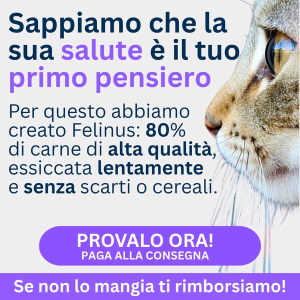 Paga anche alla consegna