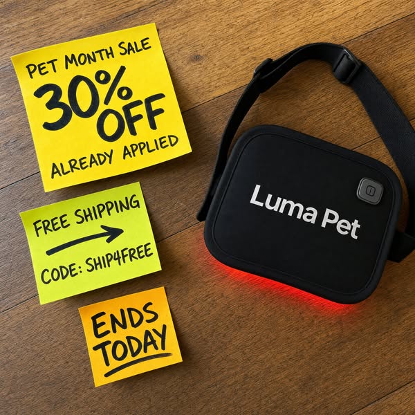 Your Dog's Relief, 30% Off Today