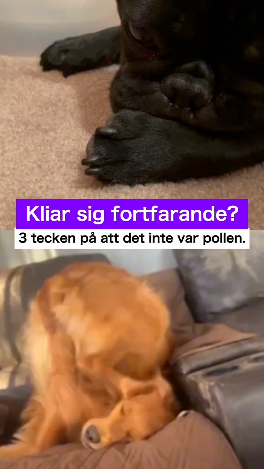 Du har provat allt. Det är inte ditt fel.