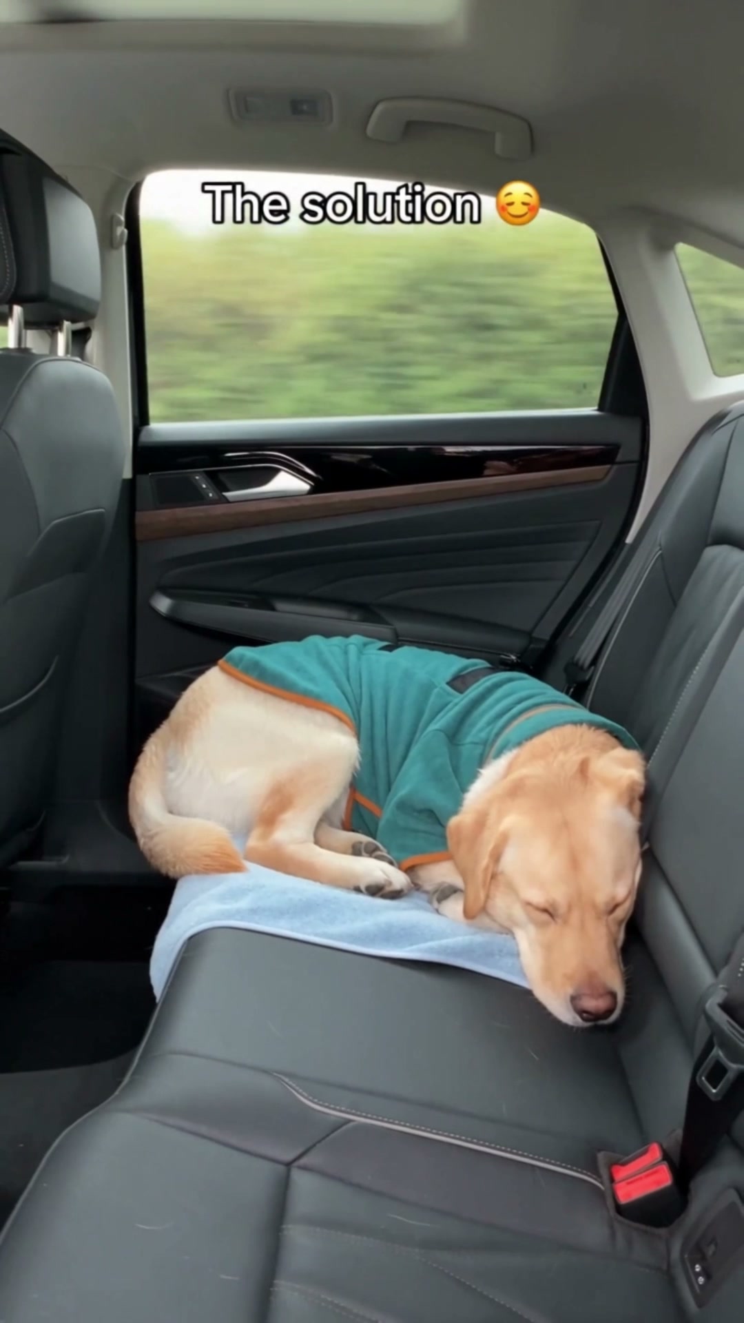 Keep the Mud Off Your Seats