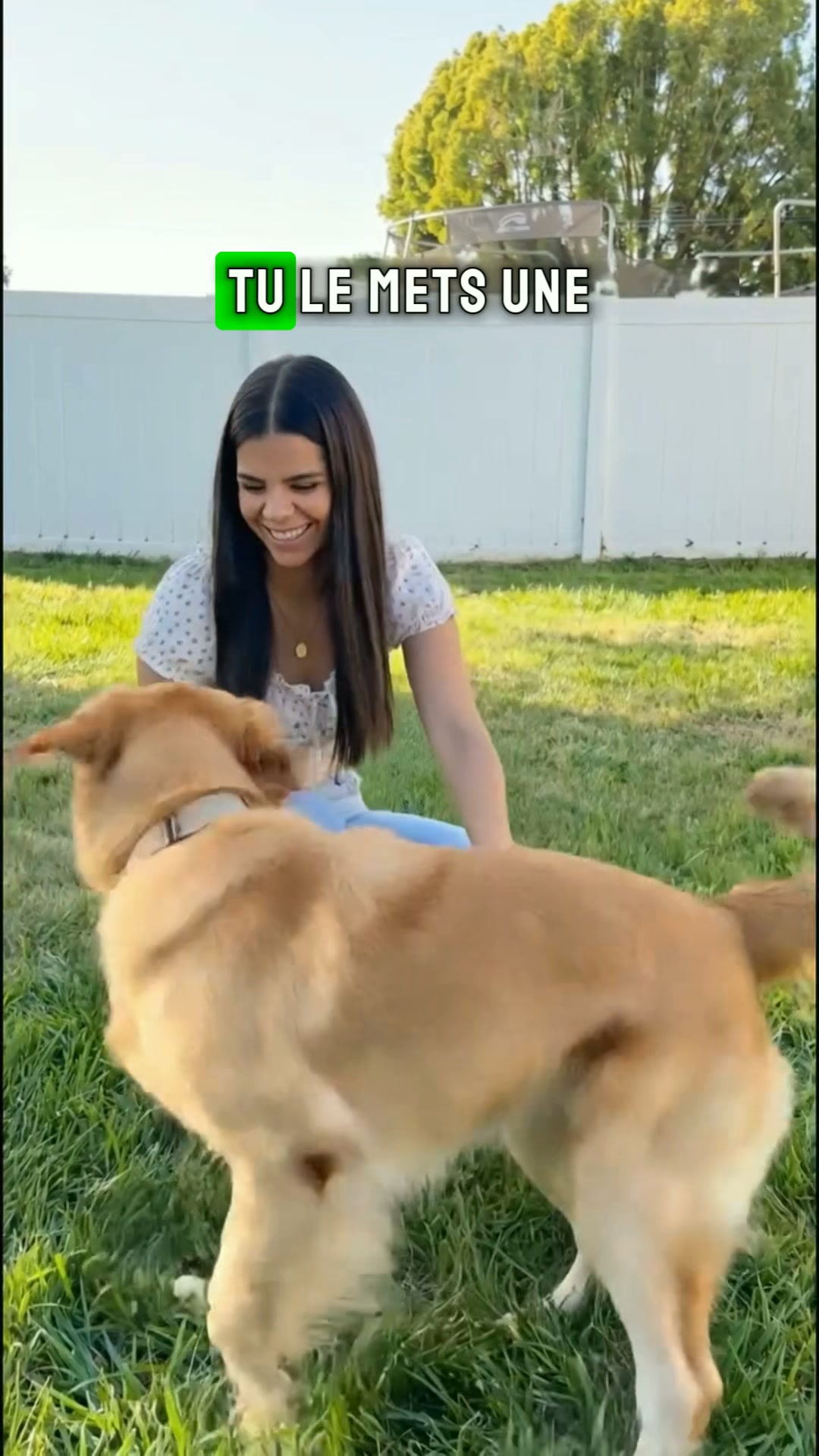 Offre à ton chien une vie sans puces ni tiques