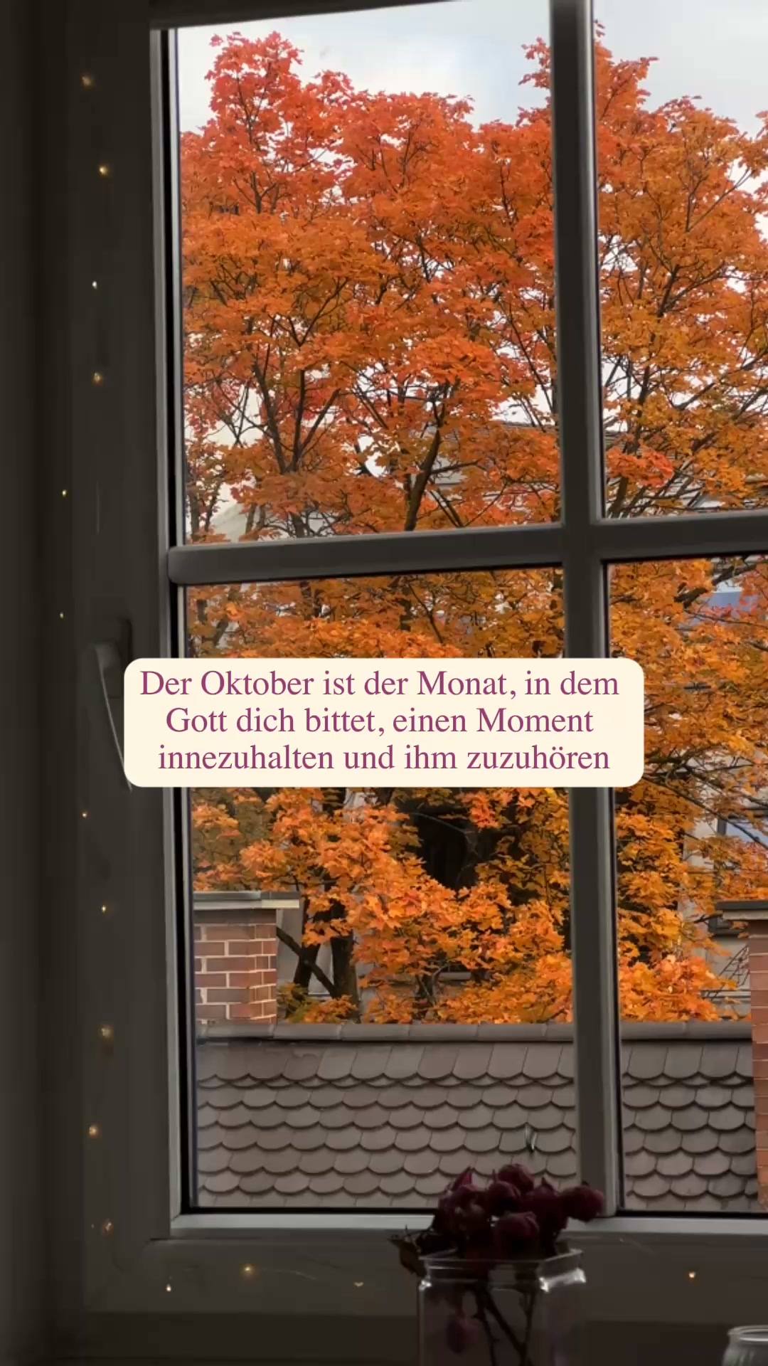 60 % Rabatt + GESCHENK