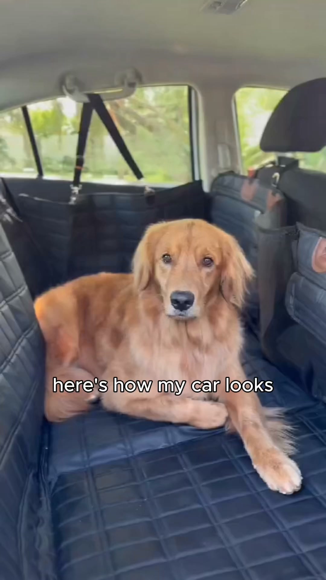 Pawlow Hard Bottom Seat Cover