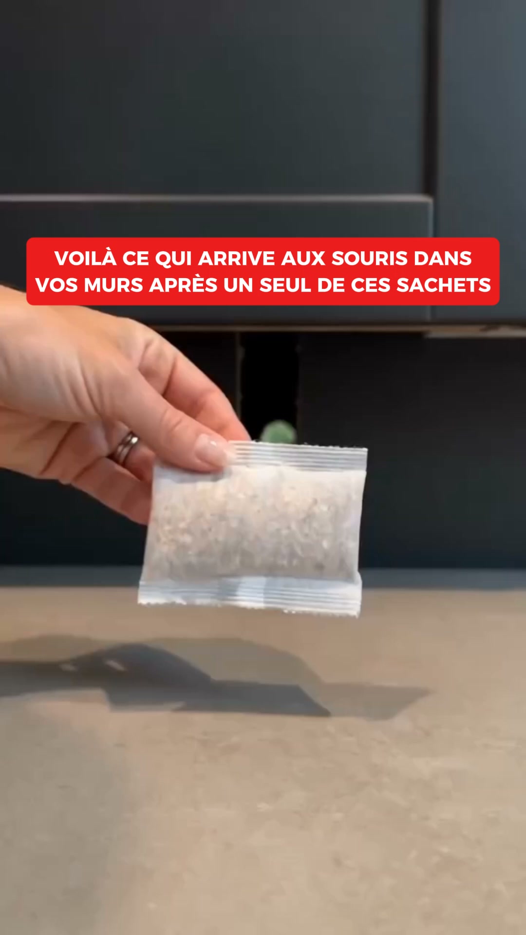 Fini les souris et les rats