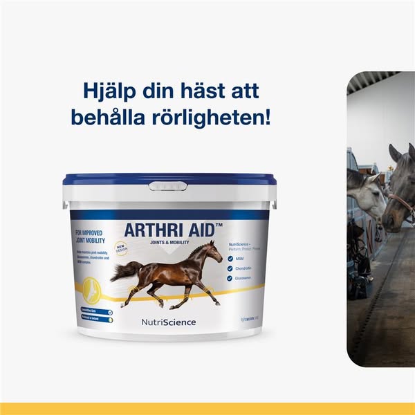 Stöd för hästens leder