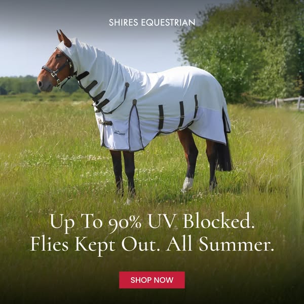 Horse Protection Gear