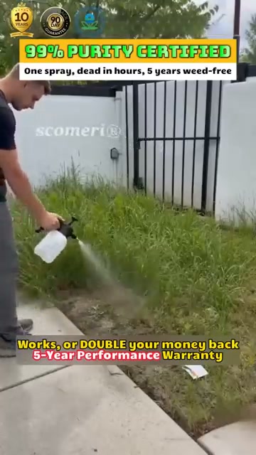 Anúncio de Plumpulse3