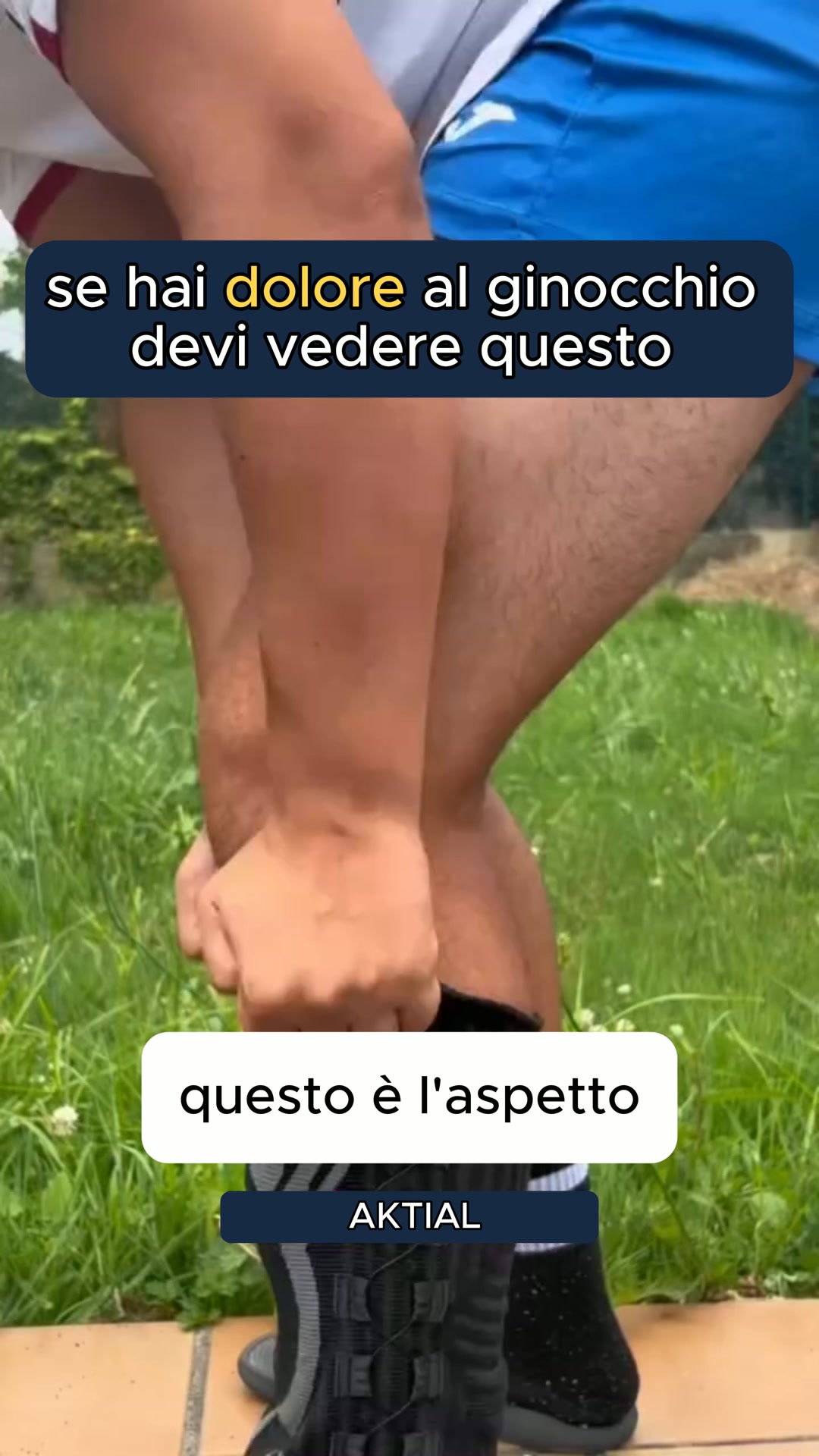 spedizione gratuita