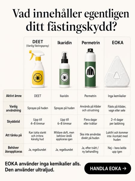 TBE-fallen ökar – det här missar många svenskar