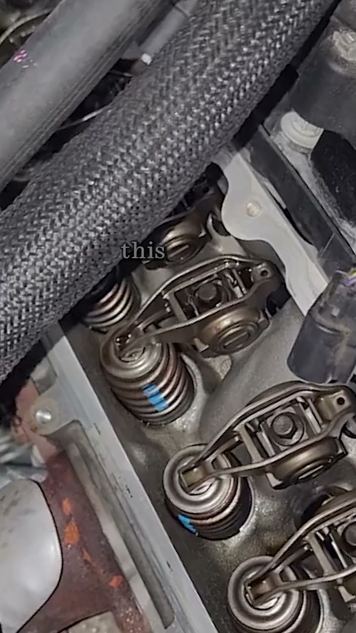 Protect Your Engine Before the Tick