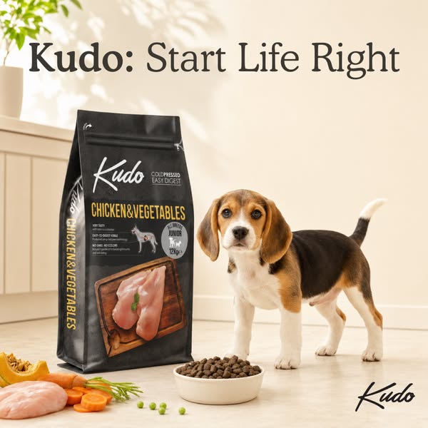 Start Life Right