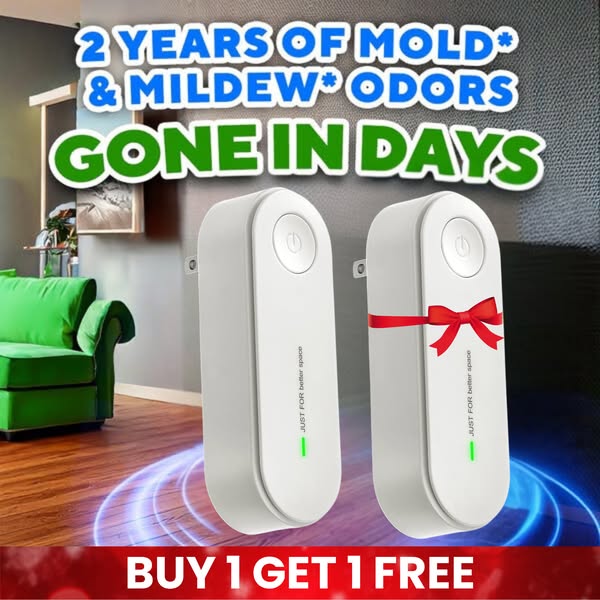 Eliminates Mold & Odors